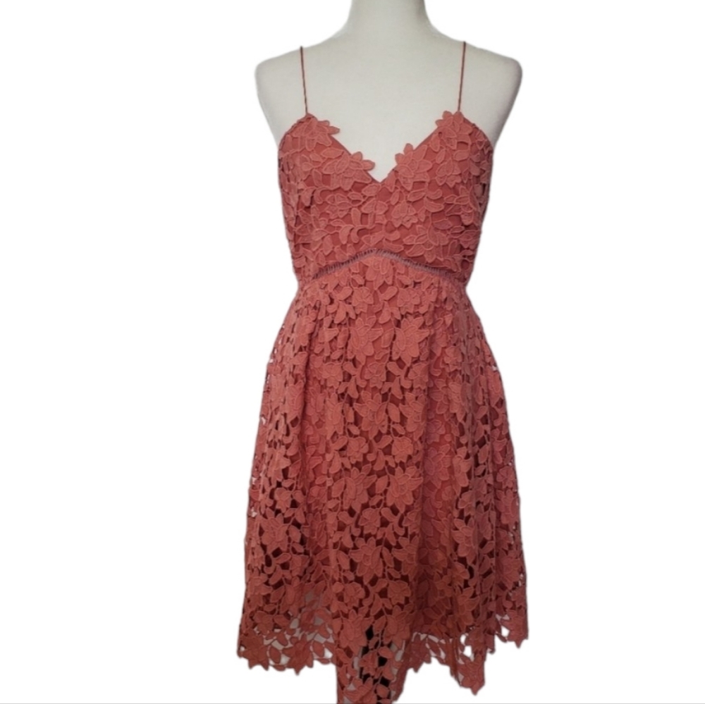 NWT Oak + Fort Lace Pink Dress